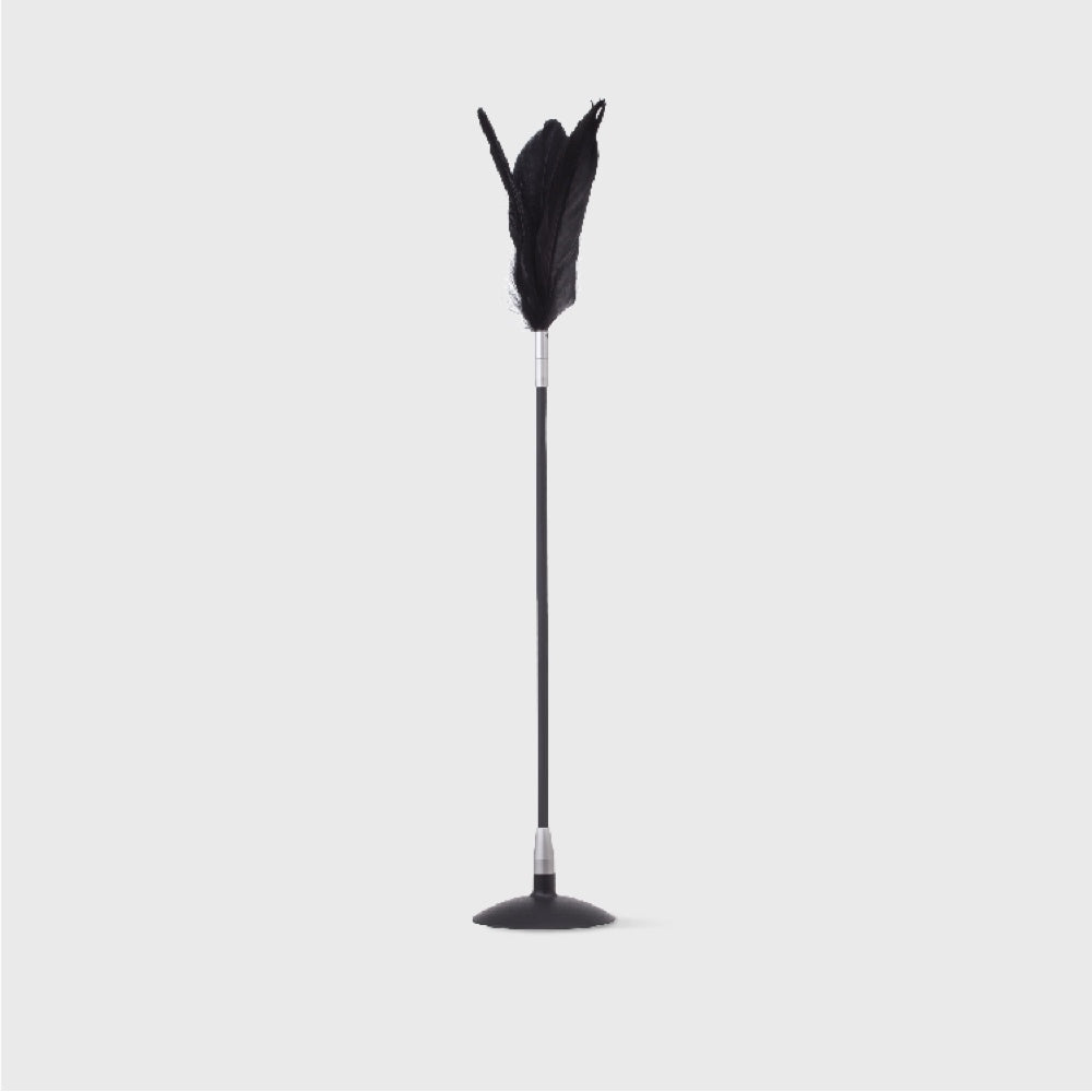 Pidan Teaser With Suction Cup Cat Wand Toy (Black)