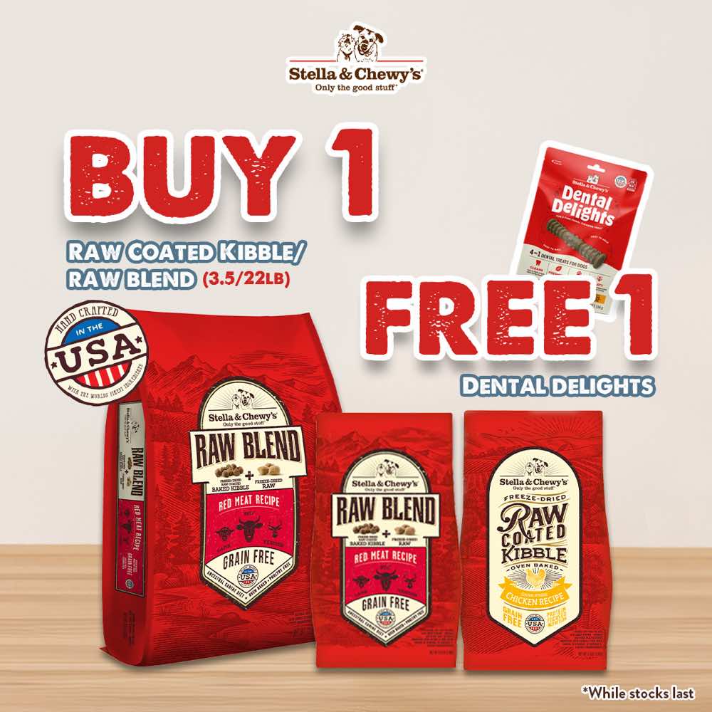 'FREE DENTAL TREATS': Stella & Chewy??s Raw Blend Wild Caught Fish Kibble With Freeze-Dried Raw Grain-Free Dry Dog Food
