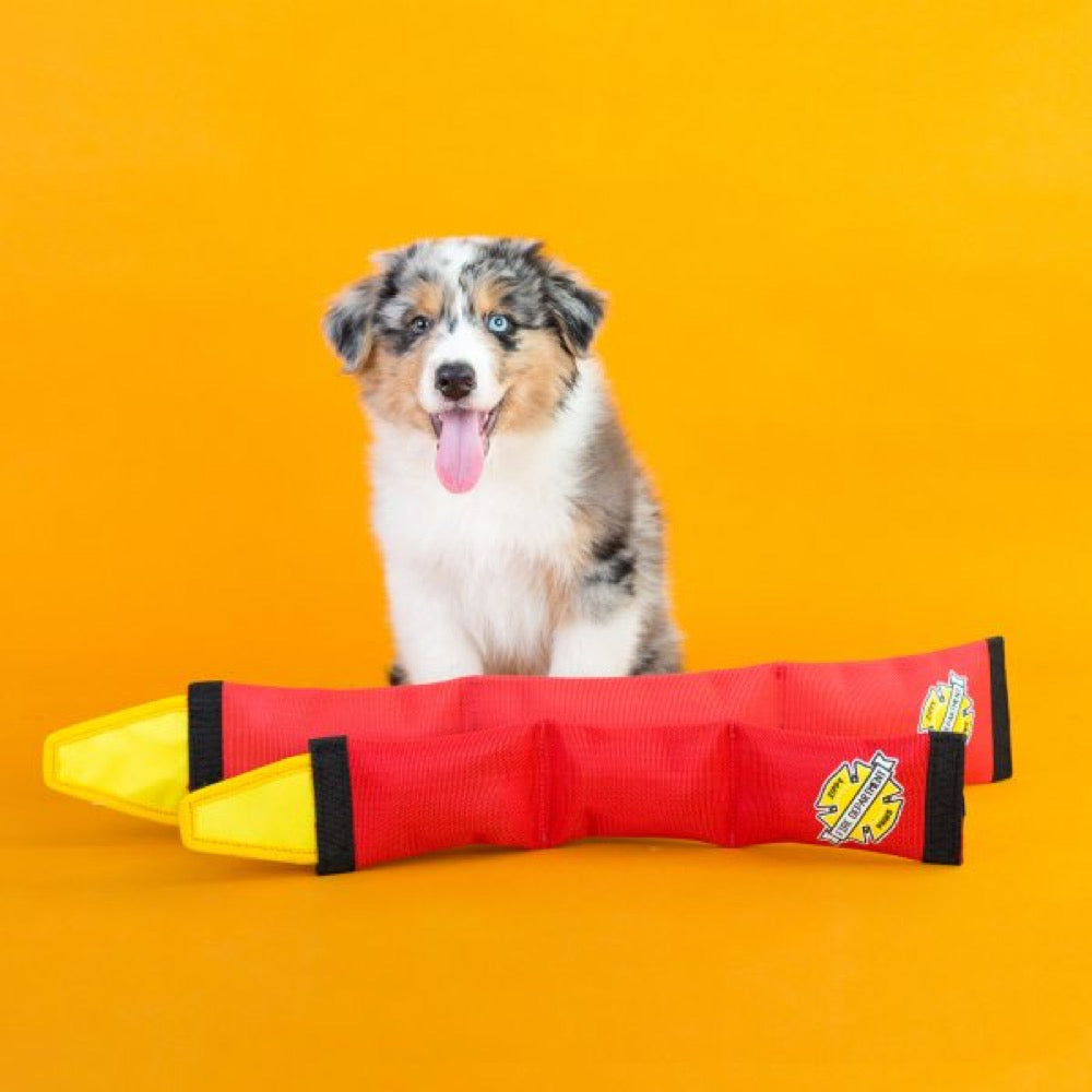 ZippyPaws Firehose Blaster Dog Toy