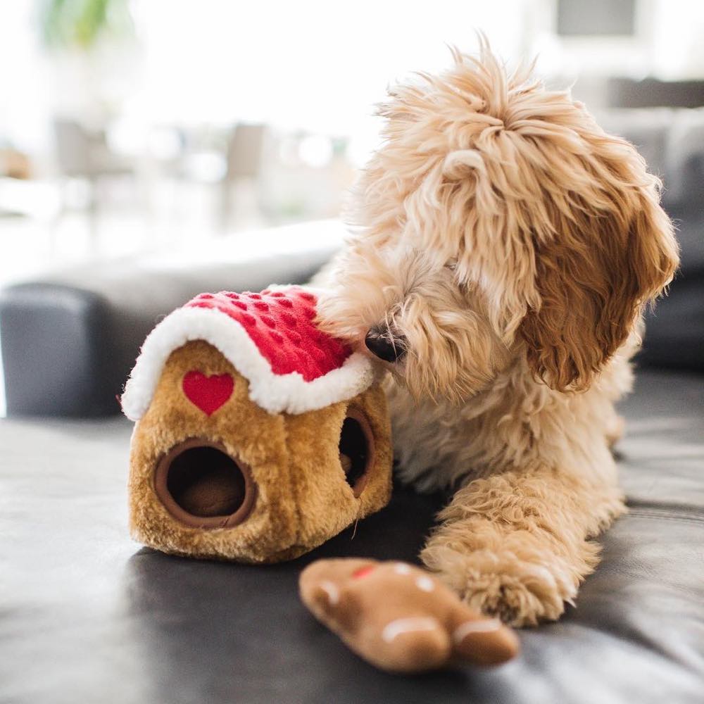 ZippyPaws Holiday Zippy Burrow Gingerbread House Dog Toy