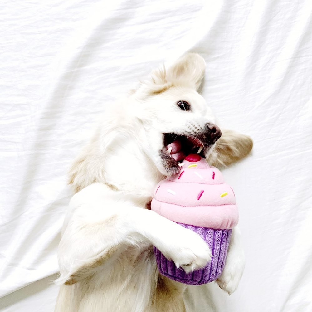 ZippyPaws NomNomz Cupcake Pink Dog Toy