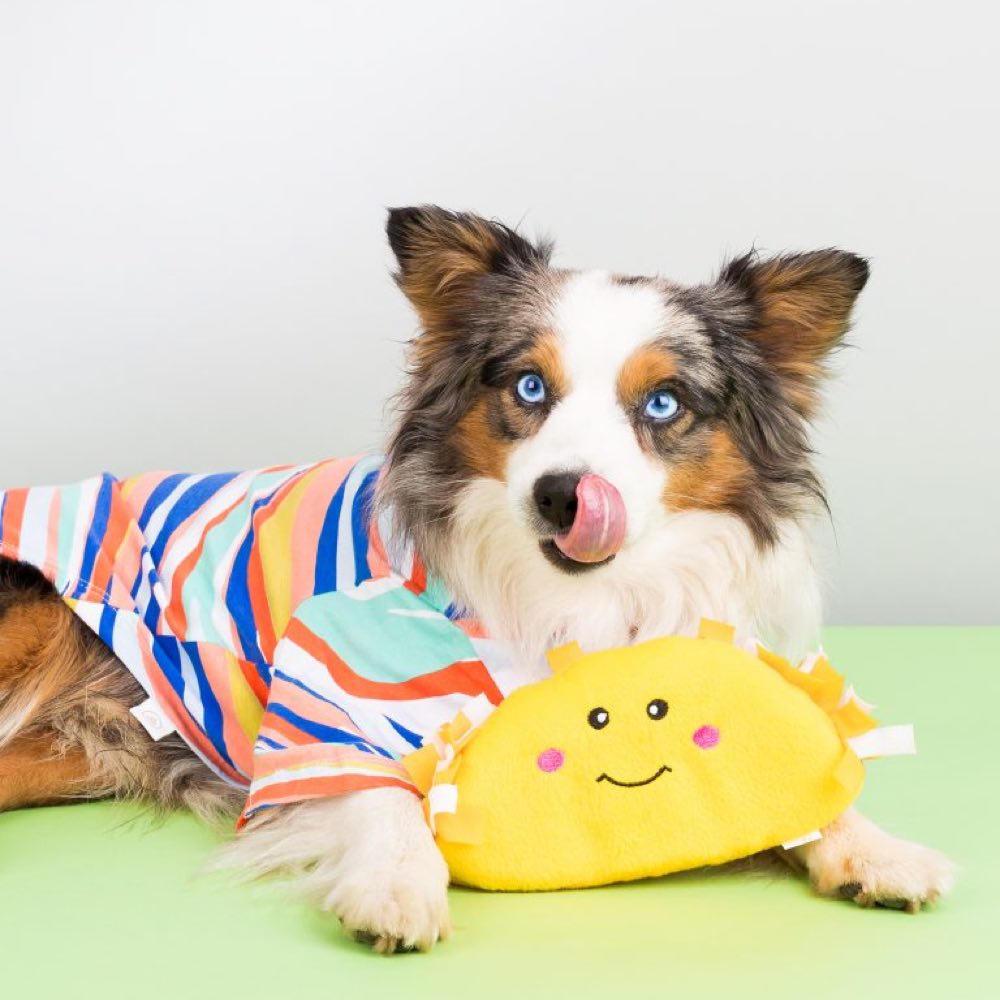 ZippyPaws NomNomz Taco Plush Dog Toy