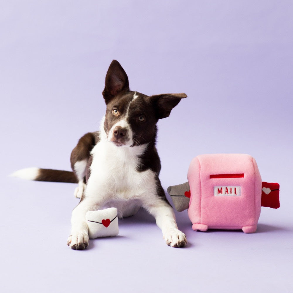 ZippyPaws Zippy Burrow Mailbox & Love Letters Dog Toy