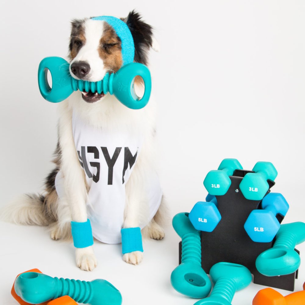 ZippyPaws ZippyTuff Squeakerz Dumbbell Dog Toy
